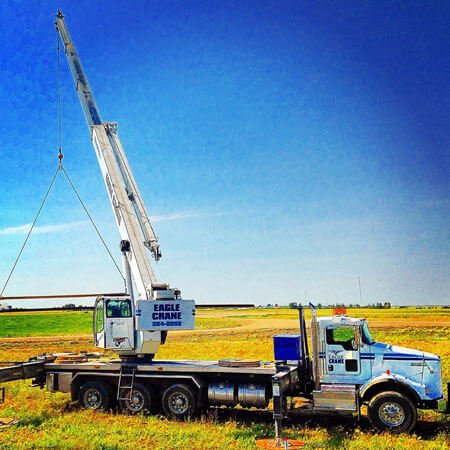 eagle cranes saskatoon moose